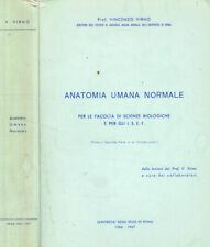 Anatomia umana normale. usato  Italia