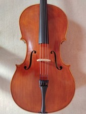 Cello etui gebraucht kaufen  Cuxhaven