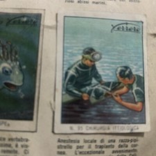 Figurina caccia subacquea usato  Firenze