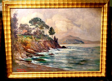 Pittore donadio nervi usato  Genova