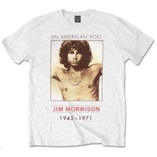 The doors american gebraucht kaufen  Offenbach am Main