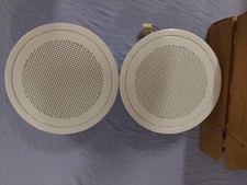 Coppia altoparlanti linea usato  Udine