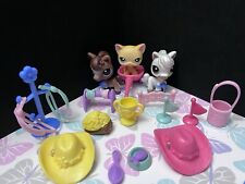 Littlest pet shop for sale  Raymondville