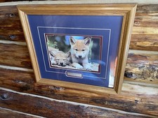 Spring wood pups for sale  Hinckley