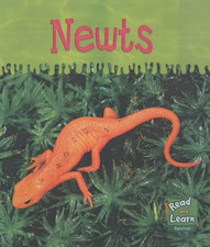 Newts for sale  ROSSENDALE