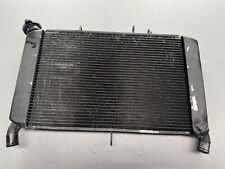 Radiatore acqua yamaha usato  Alghero