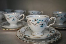 Tuscan fine english for sale  CORBY