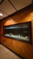 Gallon aquarium fish for sale  Miami