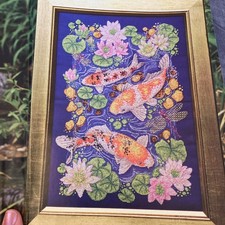 Gold flashes koi for sale  LEICESTER