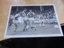 stirling albion for sale stirling albion for sale COWDENBEATH