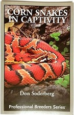 Title corn snakes for sale  UK