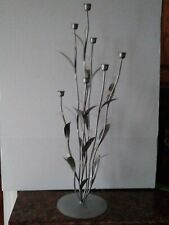 Seven blossom calla for sale  Florence