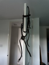 Hkm brown grackle for sale  CANTERBURY
