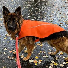 Dog waterproof lightweight for sale  NORTHAMPTON