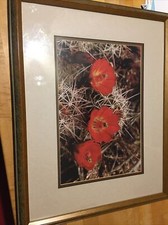 Wall art framed for sale  Austin