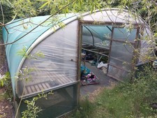 Polytunnel approx 4.9m for sale  COALVILLE