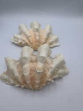 Whole pieces fluted for sale  Marietta
