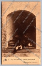 Postcard chien niche d'occasion  Expédié en Belgium