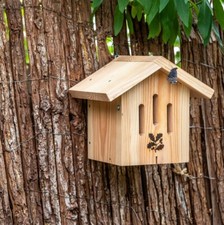 Butterfly house kit for sale  SHREWSBURY