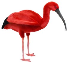 Hansa scarlet ibis d'occasion  Expédié en Belgium