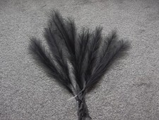 Antique feather hat for sale  BRIGHOUSE