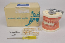 Modelo odontológico Nissin P15DP-TR56C.1 GSE estudo de dentes prática dentista Kilgore comprar usado  Enviando para Brazil