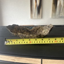 Tony remington bonsai for sale  BRISTOL