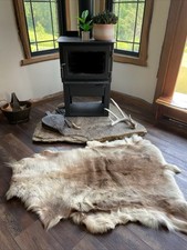 Beautiful arctic reindeer for sale  Milan