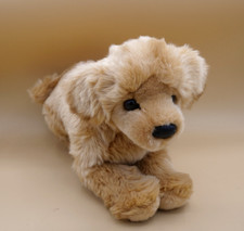 Bella golden retriever for sale  Pompano Beach