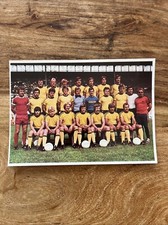 Bvb borussia dortmund gebraucht kaufen  Abstatt