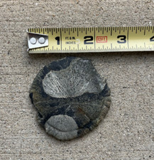 Pyrite sun miner for sale  Palatine