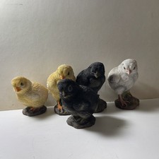 Vivid arts chicks for sale  MINEHEAD