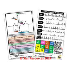 Ecg rhythms badge for sale  CAMBORNE