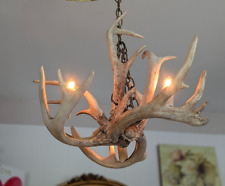 Vintage rustic antler for sale  Geneva