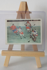 Ice hockey new d'occasion  Expédié en Belgium