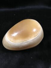 Polished carved alabaster for sale  Statesville