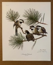 Listed american wildlife for sale  New York