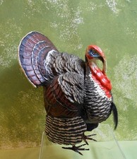 Giant german thanksgiving for sale  Saint Peters