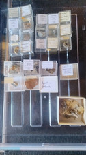 Mineralien dosen fundstellen gebraucht kaufen  Obersulm