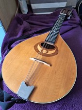 Beautiful ozark stentor for sale  LEWES