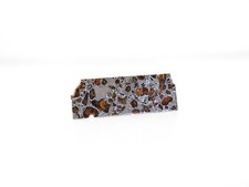 Gyarub zangbo pallasite for sale  Gainesville