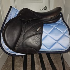 Voltaire blue wing for sale  Melbourne