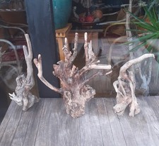 Treibholz schwemmholz skulptur gebraucht kaufen  Hilden