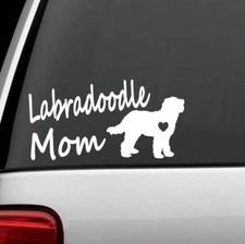 Labradoodle mom labrador for sale  Scottsville