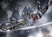 Red bull fighters for sale  MANCHESTER