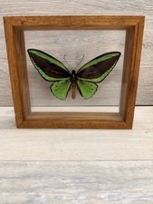 Vintage real green for sale  Saugus