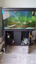 Foot tropical fish for sale  SALE
