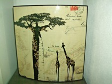 Afrika bild giraffen gebraucht kaufen  Bremen