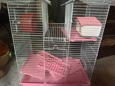 Dwarf hamster d'occasion  Expédié en Belgium