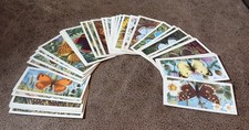 1963 british butterflies for sale  CHIPPENHAM